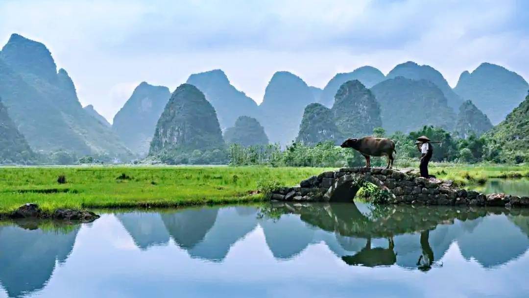 牛年送你四首关于牛的古诗词品时光安暖岁月静好