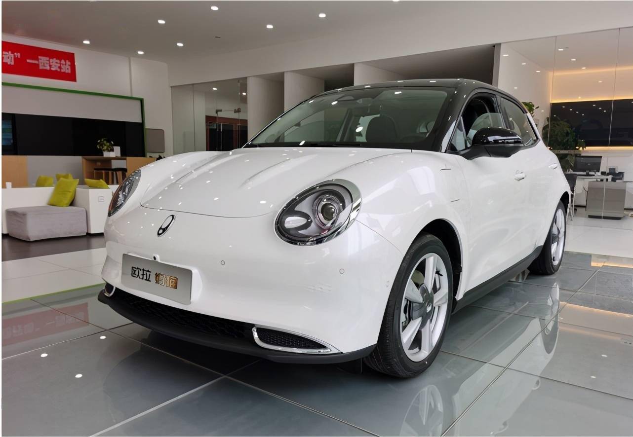 欧拉好猫,保时捷设计师,满电跑500km,可轻松坐5个成人_手机搜狐网