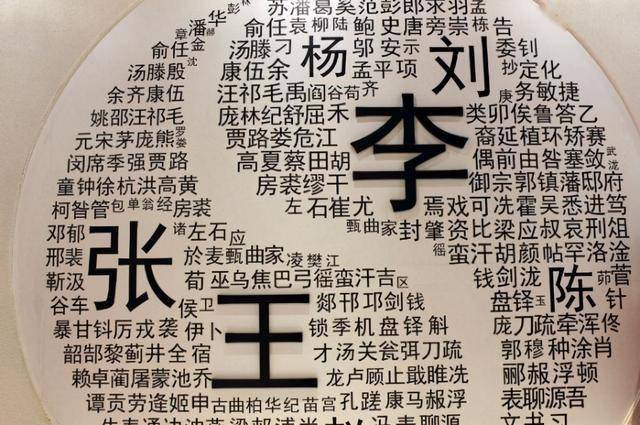 人口姓氏_武鸣人口姓氏(2)