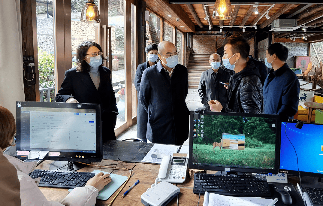 奉化区领导带队检查节前景区民宿疫情防控和安全管理落实情况_张巍