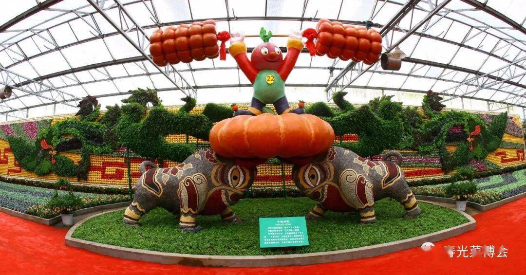 寿光市蔬菜高科技示范园,菜博会恭祝大家新春快乐!