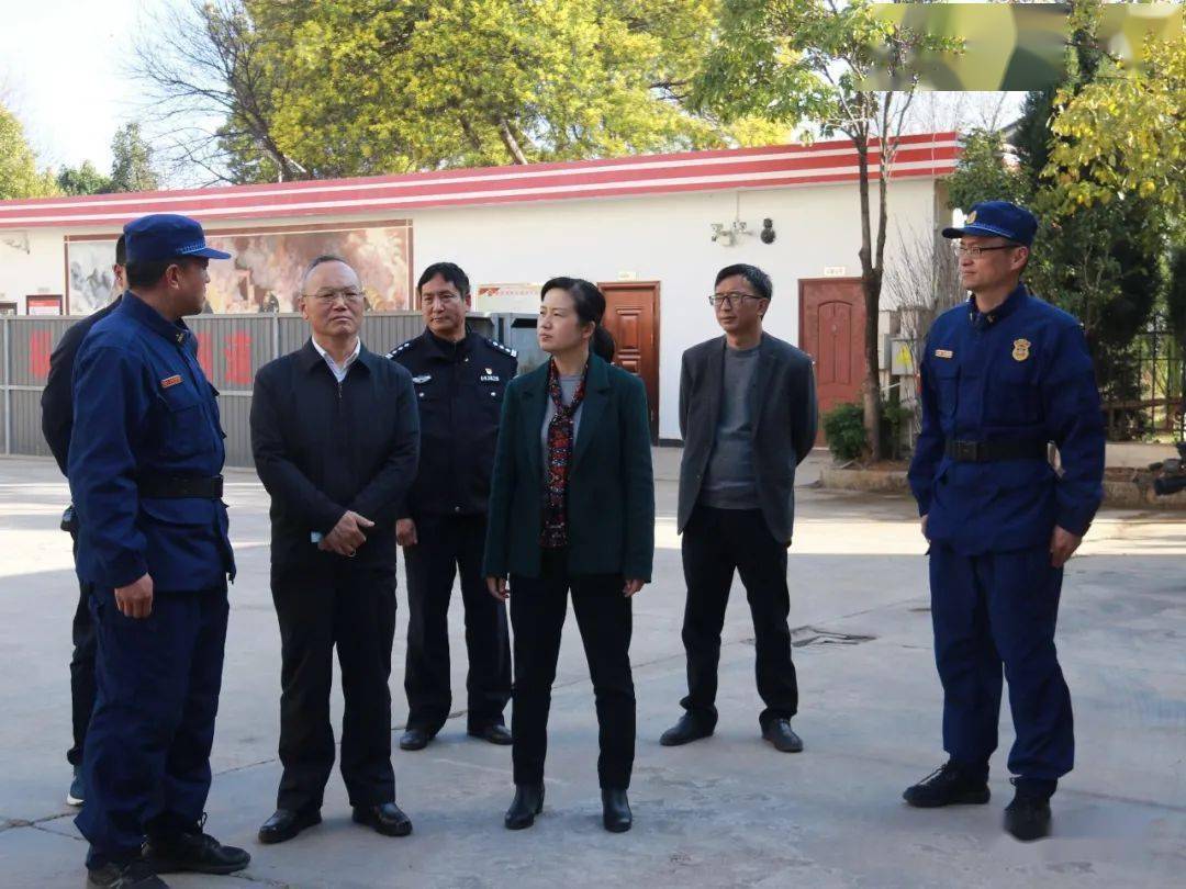 消防动态74大理州委常委州委秘书长靳汝柏带队深入鹤庆县消防救援