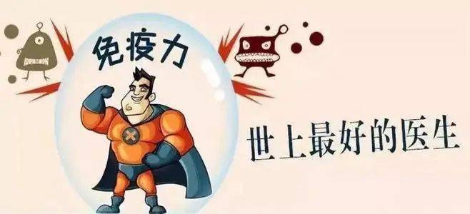 免疫力越强越好保持稳健更重要