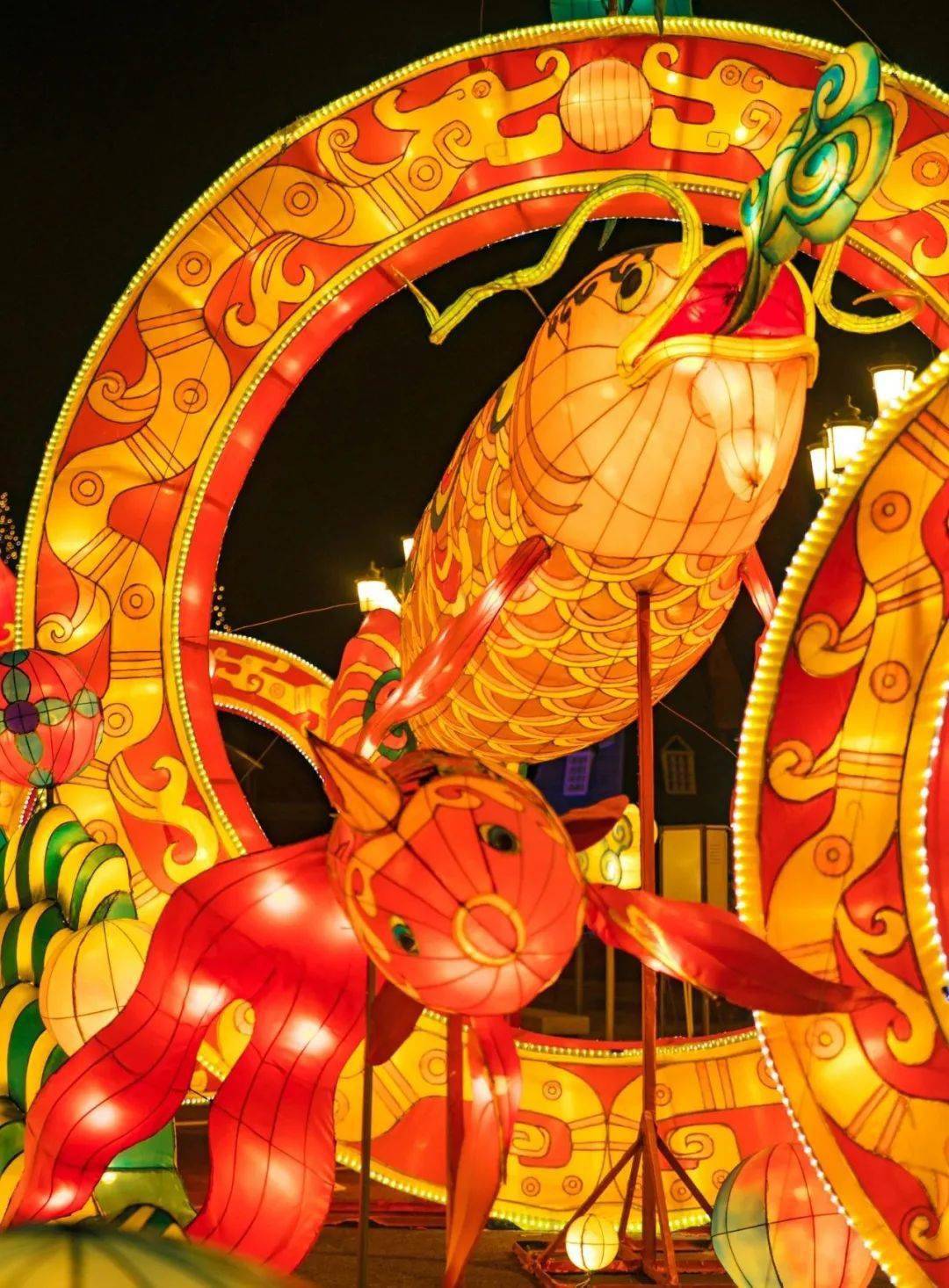 初二发团泉城欧乐堡放烟花赏花灯67红红火火喜气洋洋过大年
