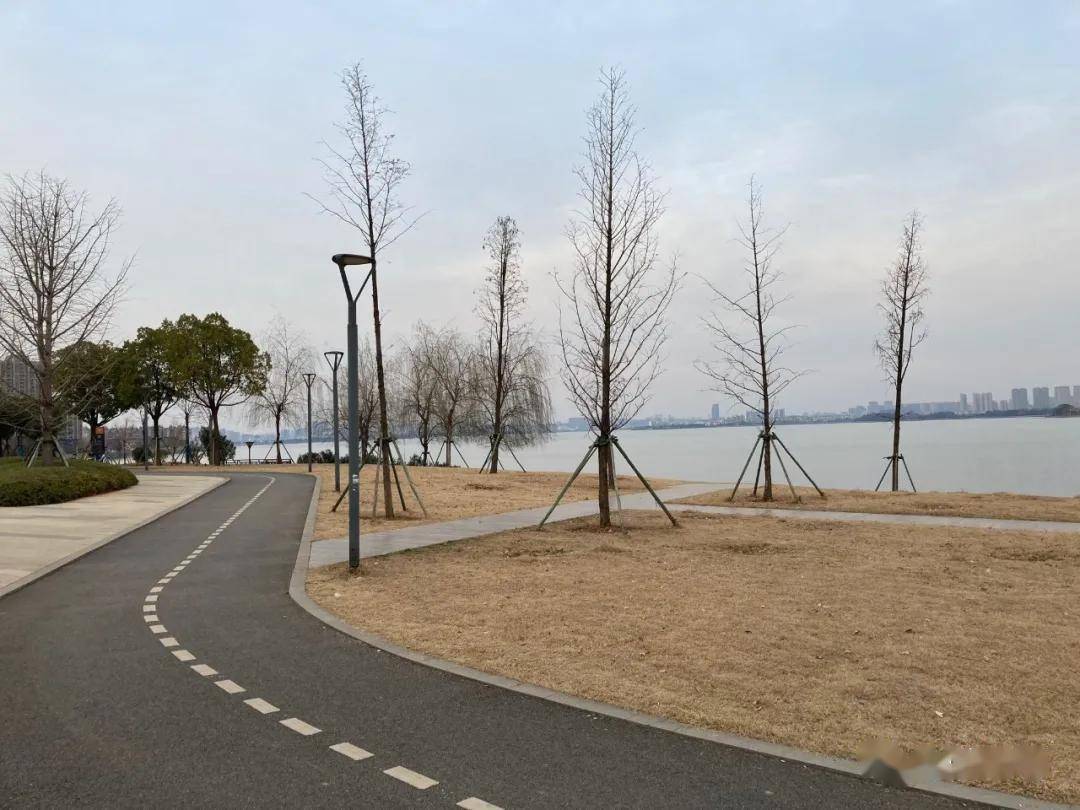 江夏庙山将建设沿湖绿道22公里!附已建成绿道实拍图片