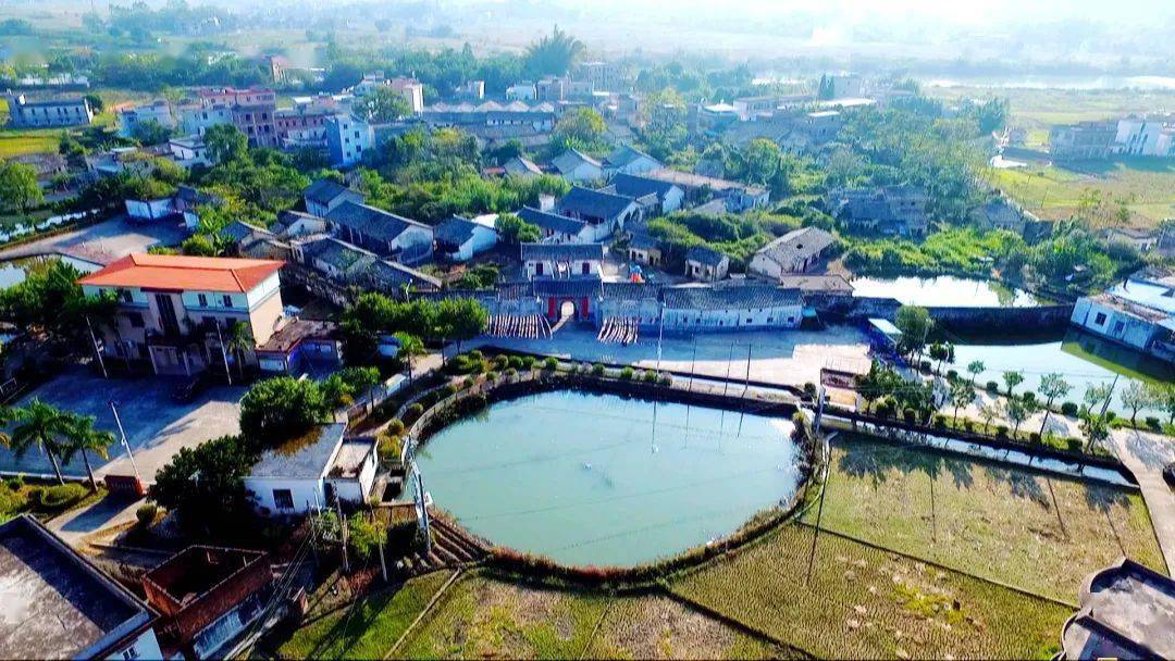 【乡村振兴看连平】忠信镇:大力发展农村产业及生态旅游业 奋力推动