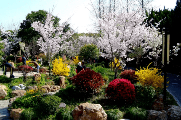 长风公园站:长风公园