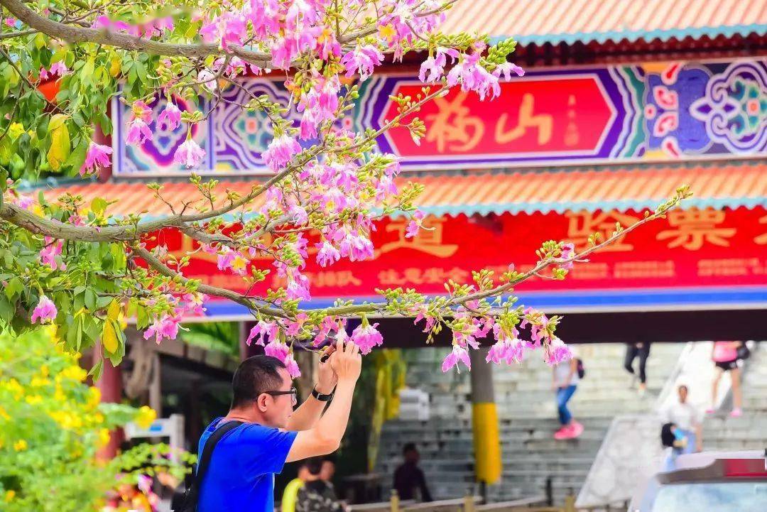 春节留莞去哪玩？快收好这份指引，隐贤山庄、华阳湖、观音山都安排上！