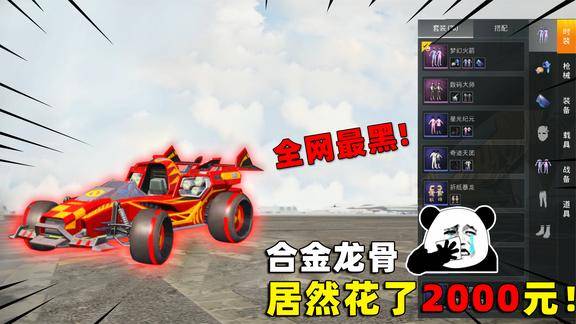 可爱的anna最新合金龙骨蹦蹦花了两千才出太贵了吧