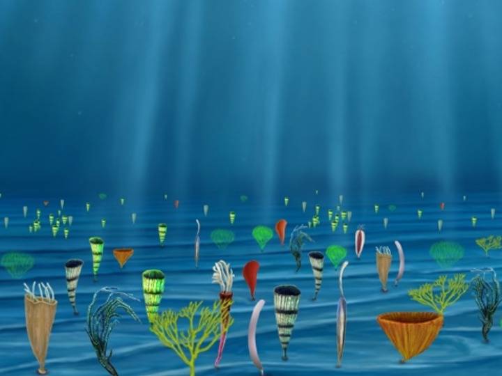 研究|6亿年前，深海生物有了“吸氧自由”
