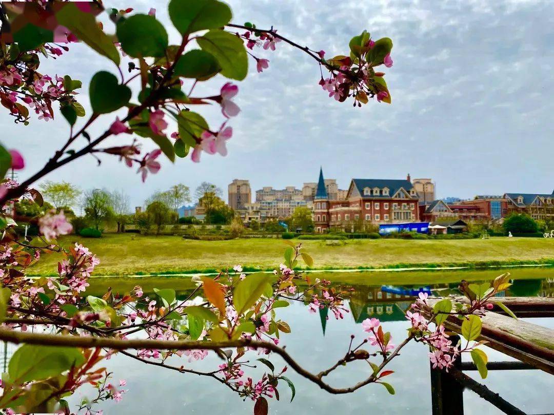 品 美 食寿安街道樱花岛的门面担当既是餐厅也是观赏点更是最佳网红