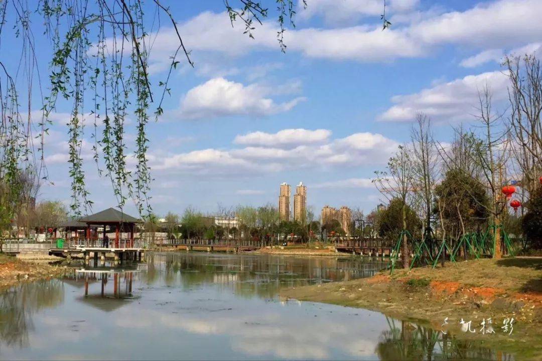 阳春三月,春风和煦,百花争艳龙港城市公园 地处龙港世纪新城板块核心