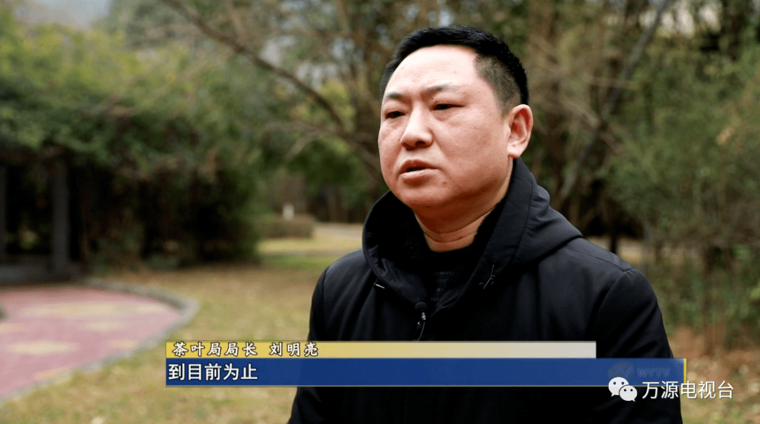 茶叶局局长 刘明亮:十三五期间,我们抢抓发展机遇,立足高山富硒有机的