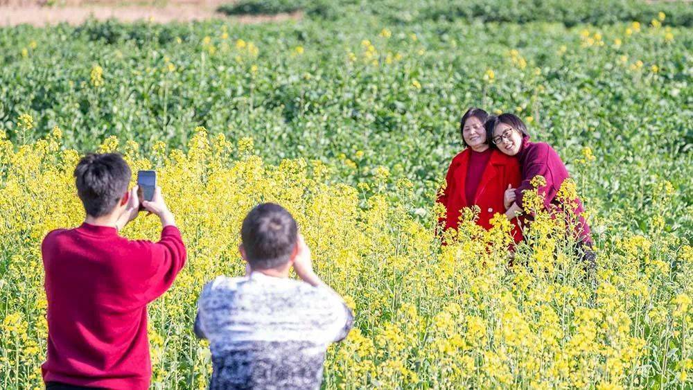 美图 | 重庆南川市民踏青赏花好春光