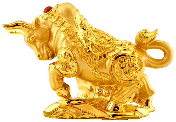 600_418gif 动态图 动图