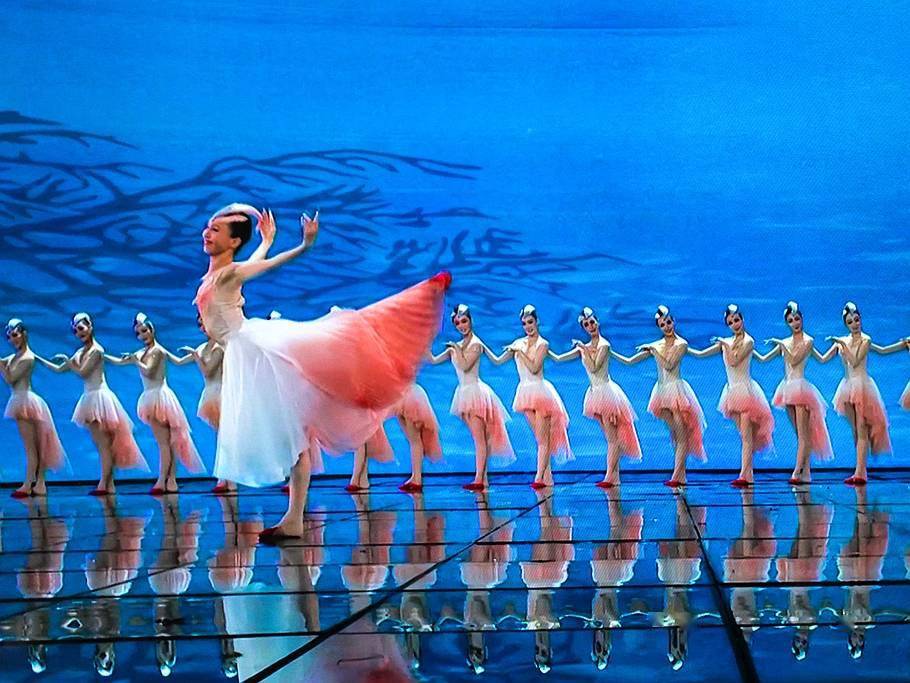 舞蹈朱鹮让人赏心悦目叹为观止