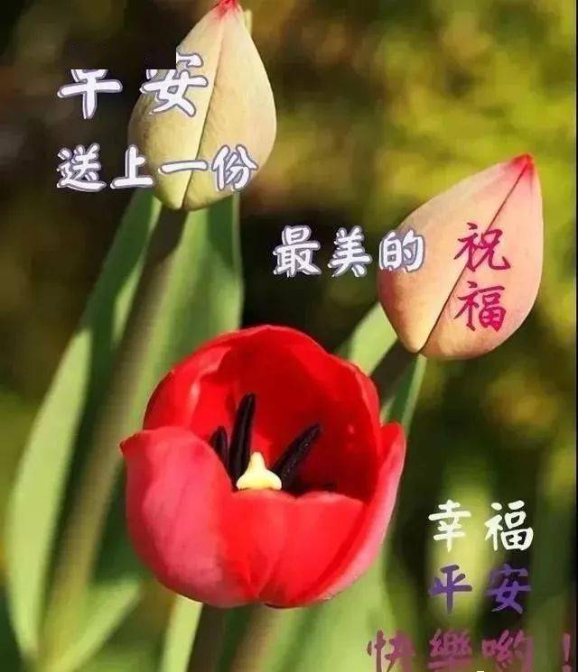 微信問候朋友早上好圖片帶字早晨好溫馨問候祝福語