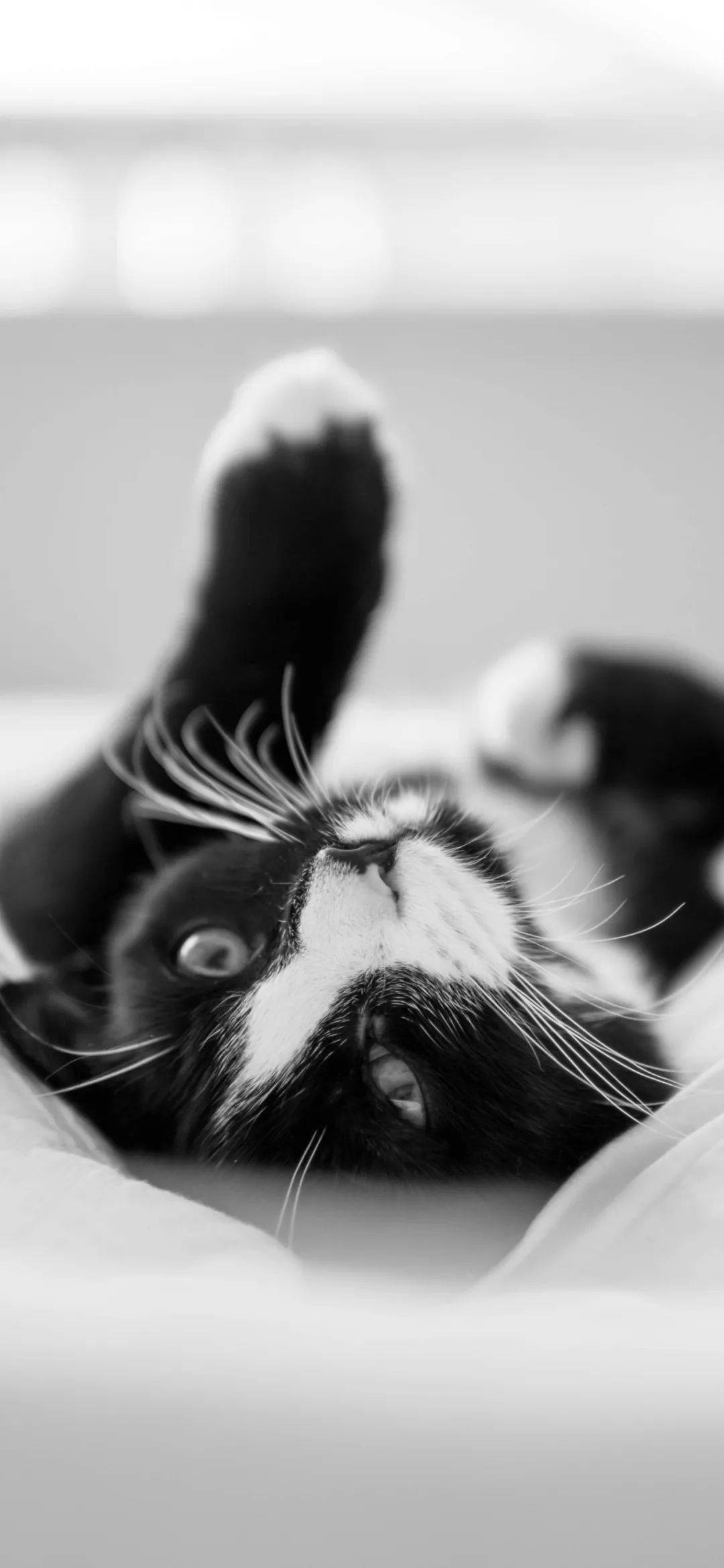 1080_2340竖版 竖屏