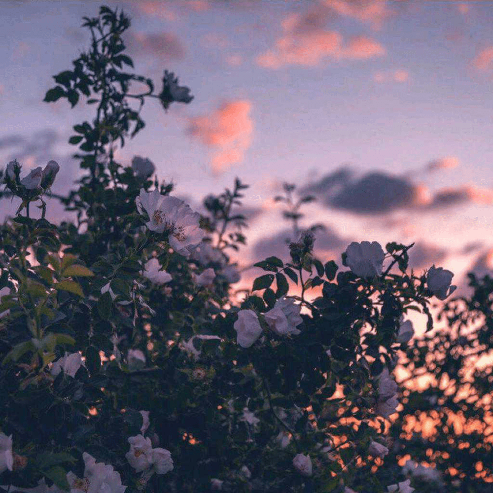 朋友圈背景图