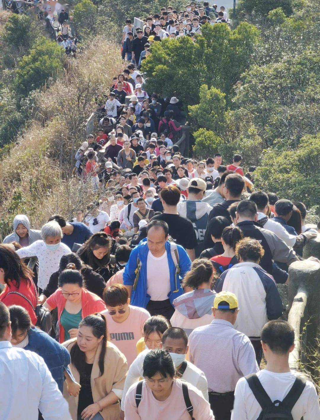 深圳春节最火爆景点：超10万人登梧桐山、每天8万人逛虹桥公园、日均4万人游大梅沙、3万人到东部华侨城……