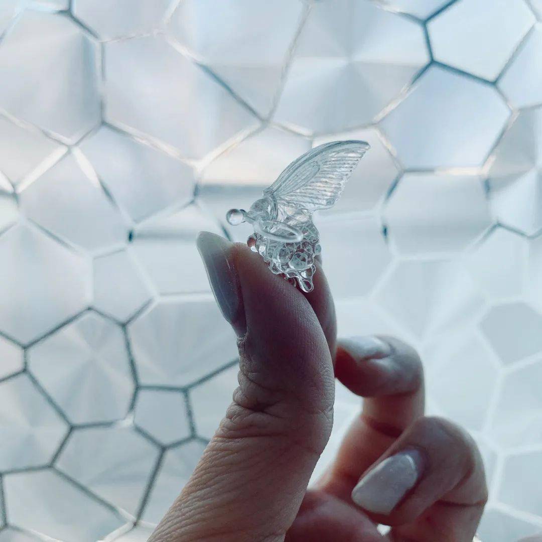 蝴蝶命的你不该错过从现在起你就是最美的蝴蝶公主