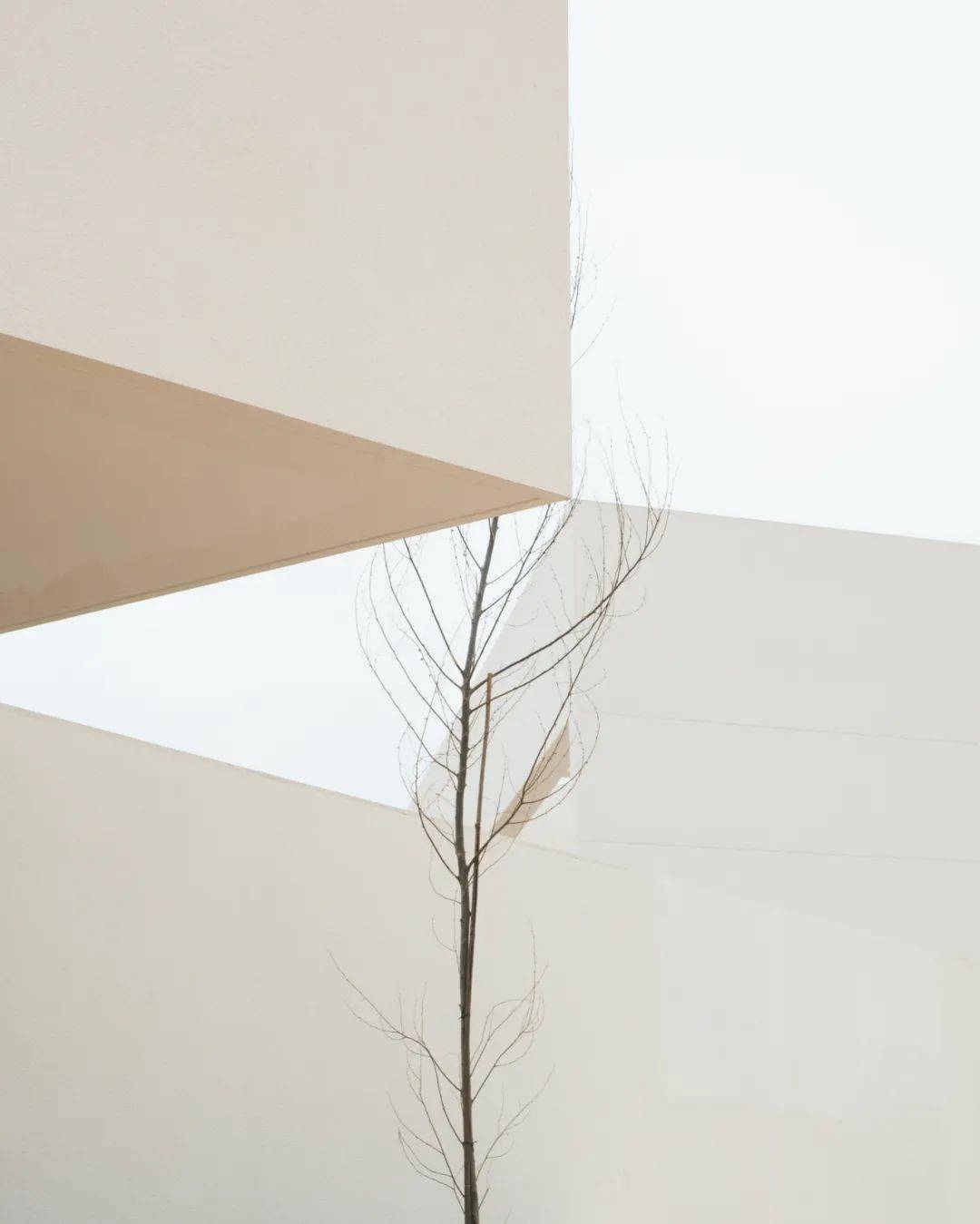 balzararquitectos丨极简美学作品3例