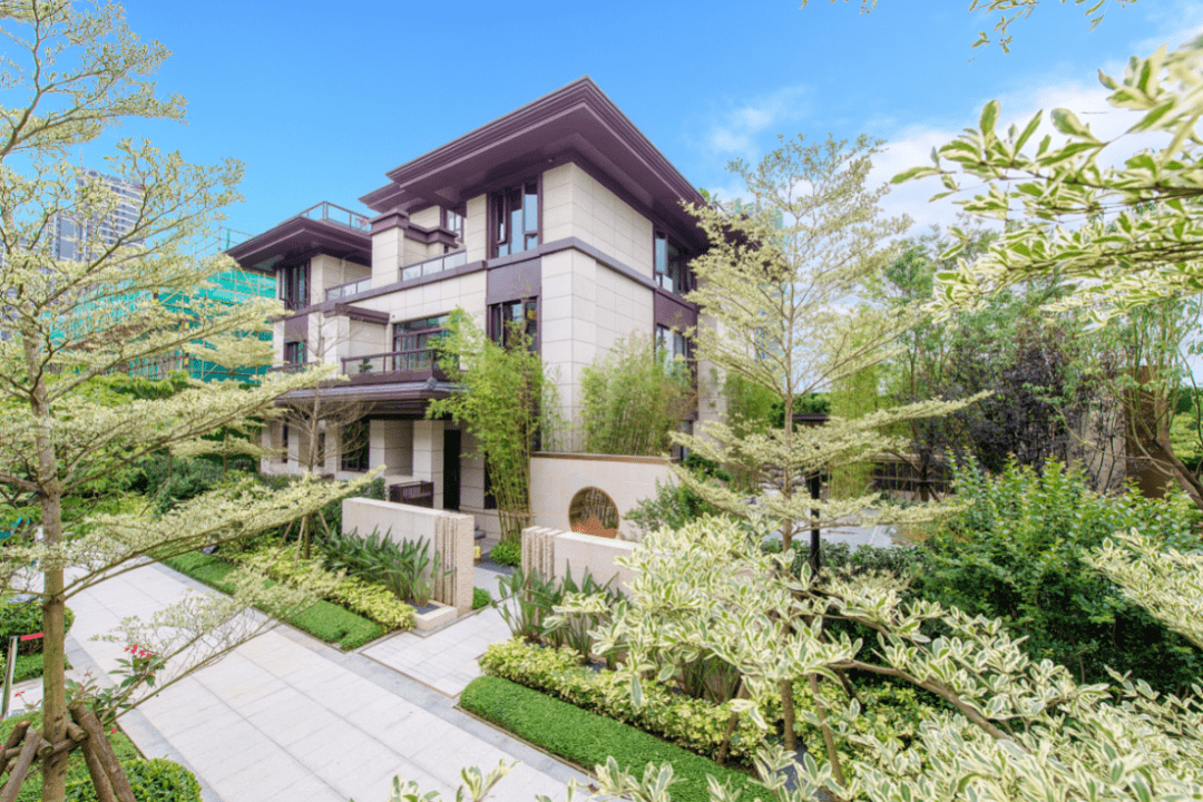 中庚·潮起东方 | 未开先火 开盘告急_城市