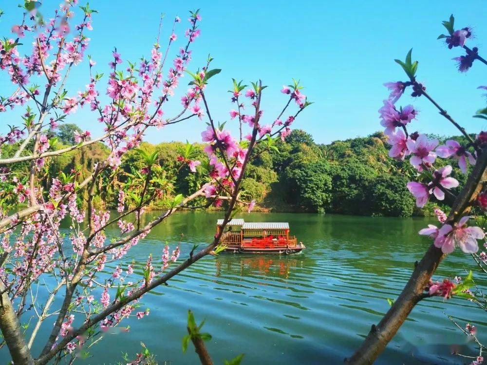 溪边桃花精美风景图片图片