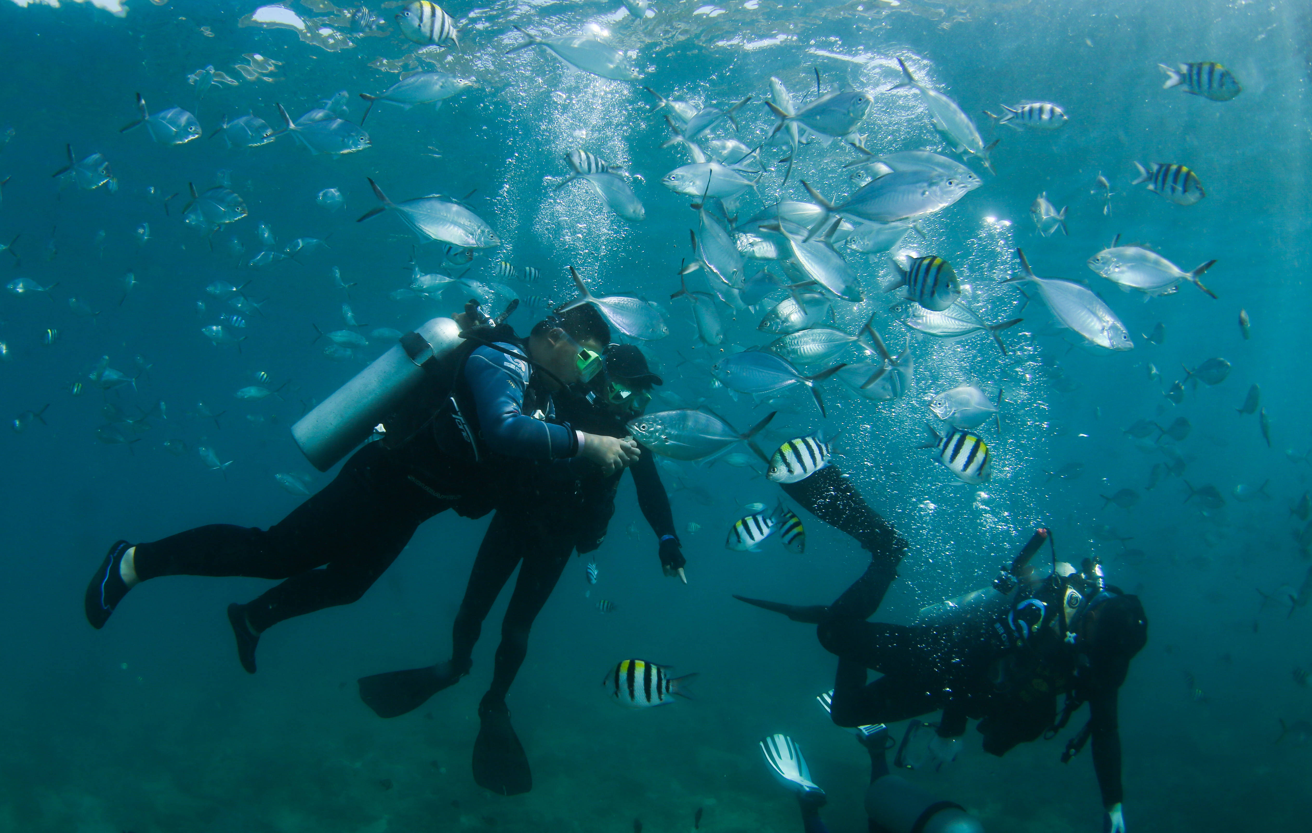 海南三亚：潜水享假期