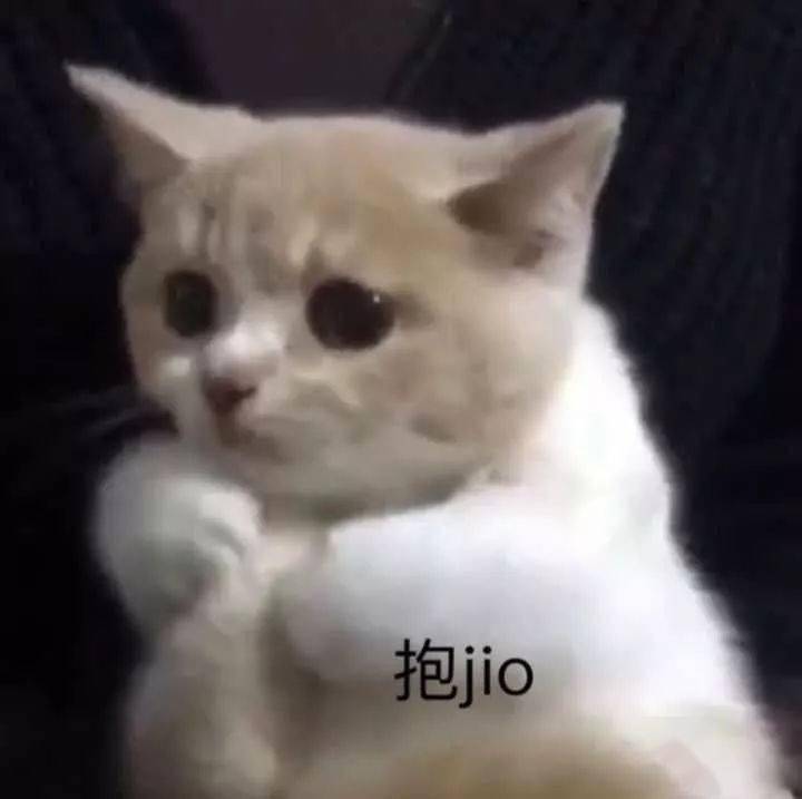 可可爱爱奇奇怪怪是什么梗 ea56c13ee4e44bf38c7860882b085598.jpeg