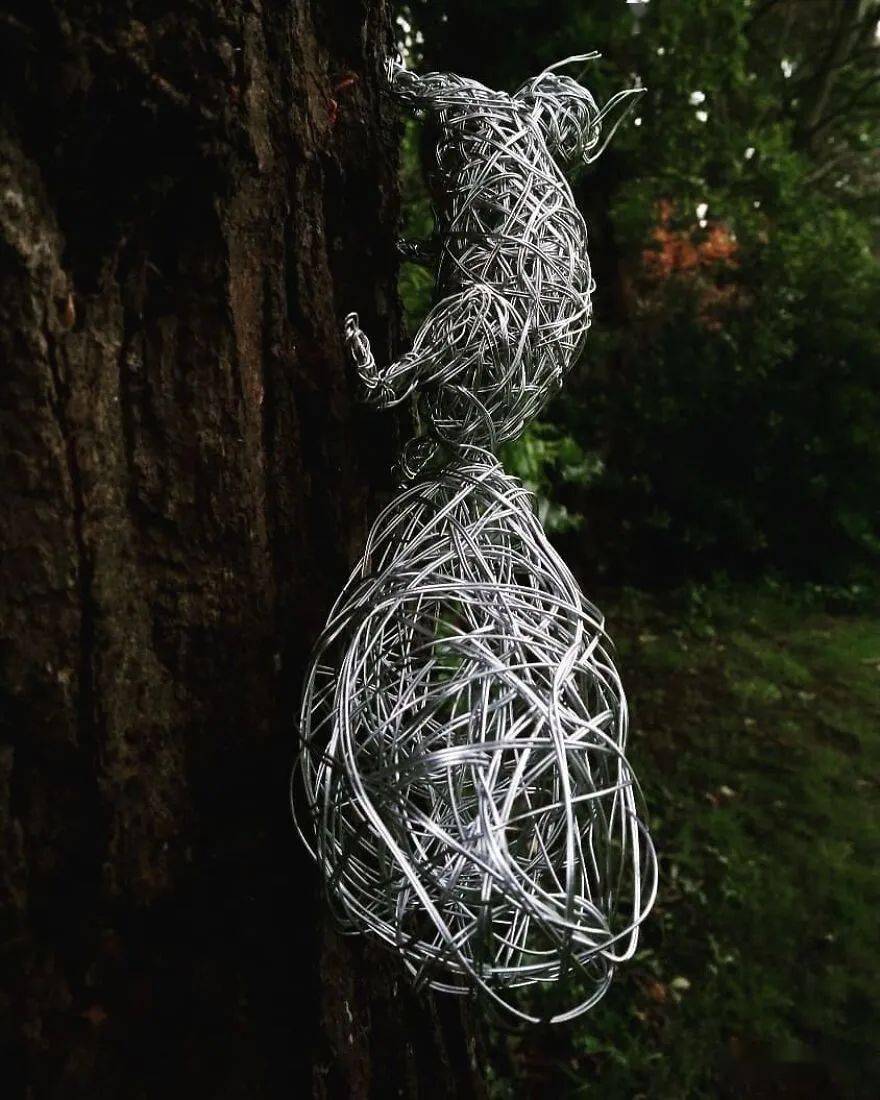 艺术家用镀锌钢丝制成的37种令人难以置信的动物雕塑