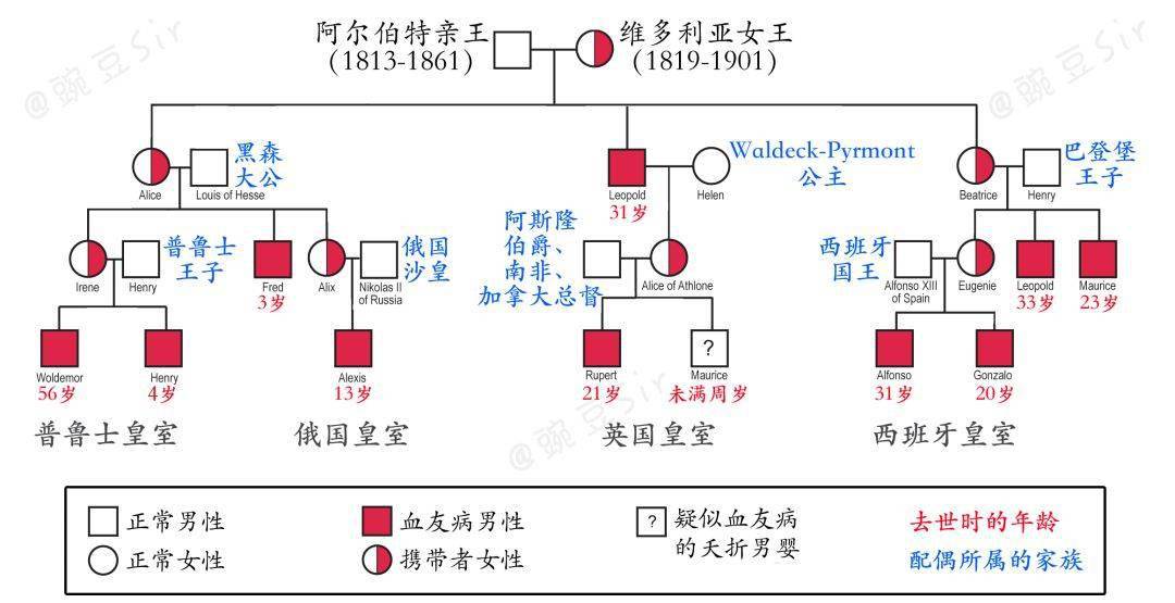 维多利亚女王家谱图她本人健康又长寿,一生育有9个子女37个孙辈.