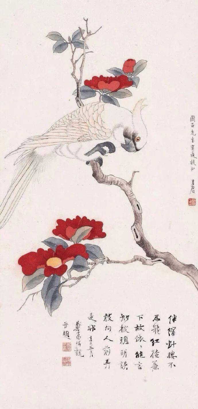 她一生未嫁，凭借自学，名留中国现代花鸟画史_谢月眉