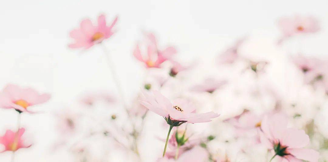 春暖花开迎学子 食堂先行筑安全 记龙海一中21年春季开学食堂迎新工作 我校