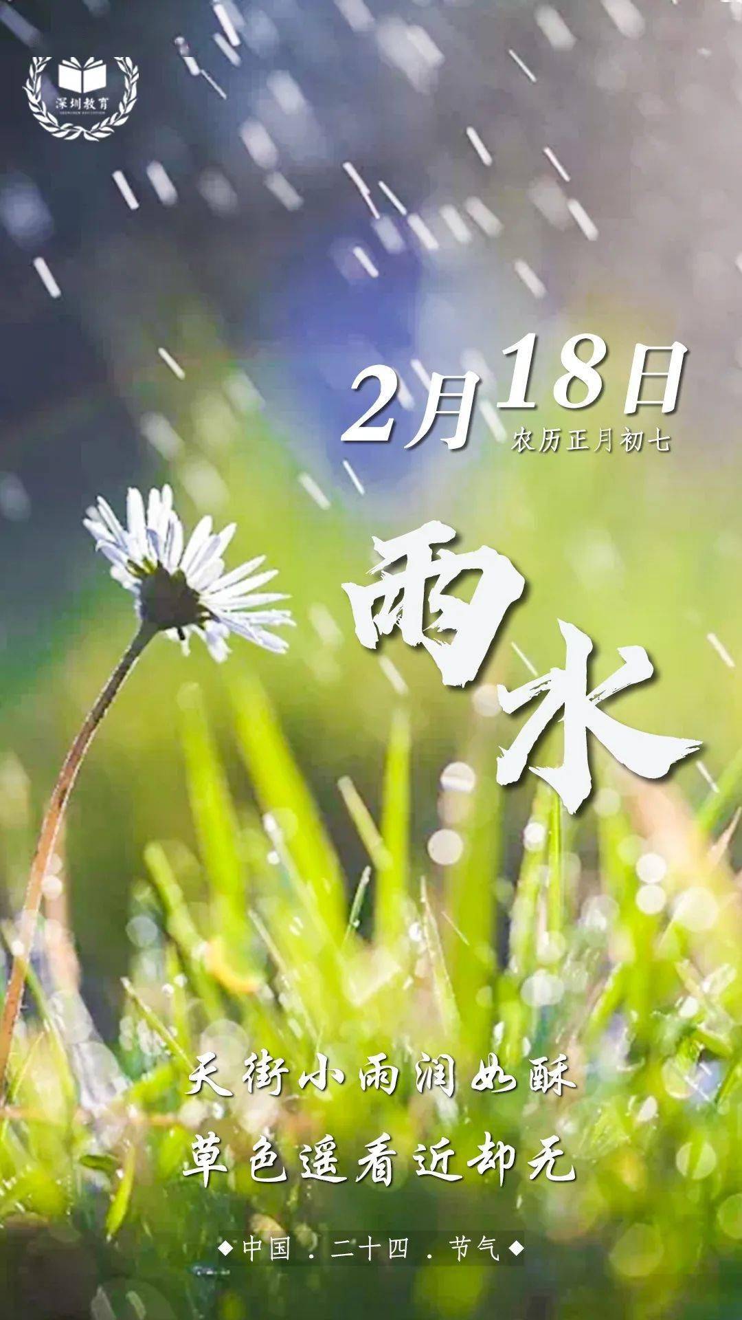 节气微课堂 梧桐花开知 雨水 深圳