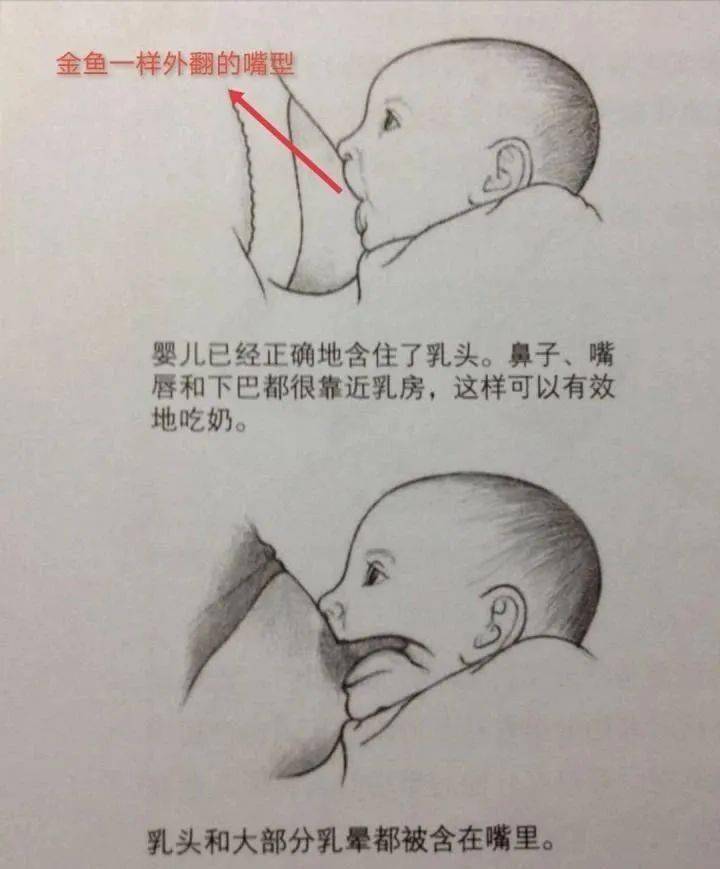 专业人士一般这么操作_宝宝