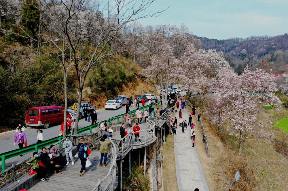 散客成團,旅行社組團遊大幅下降,自駕,自助遊等成為假日旅遊熱點,重點