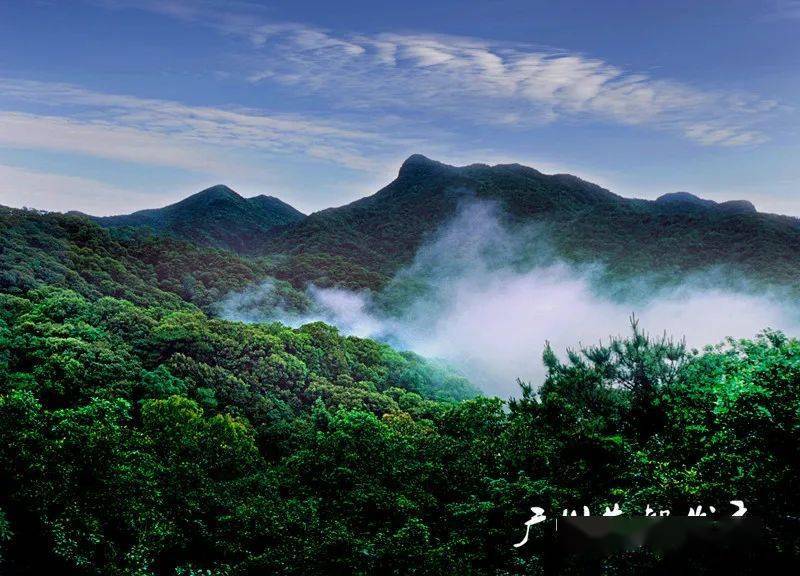 遇见花都 | 我见青山多妩媚
