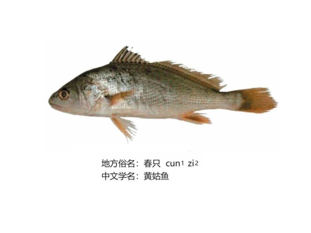 08▲点击音频,听闽南语读音07▲点击音频,听闽南语读音06▲点击音频