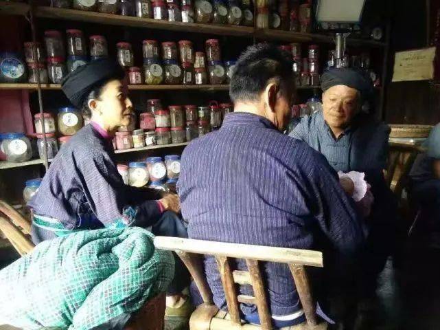 苗医的病理药理与实践