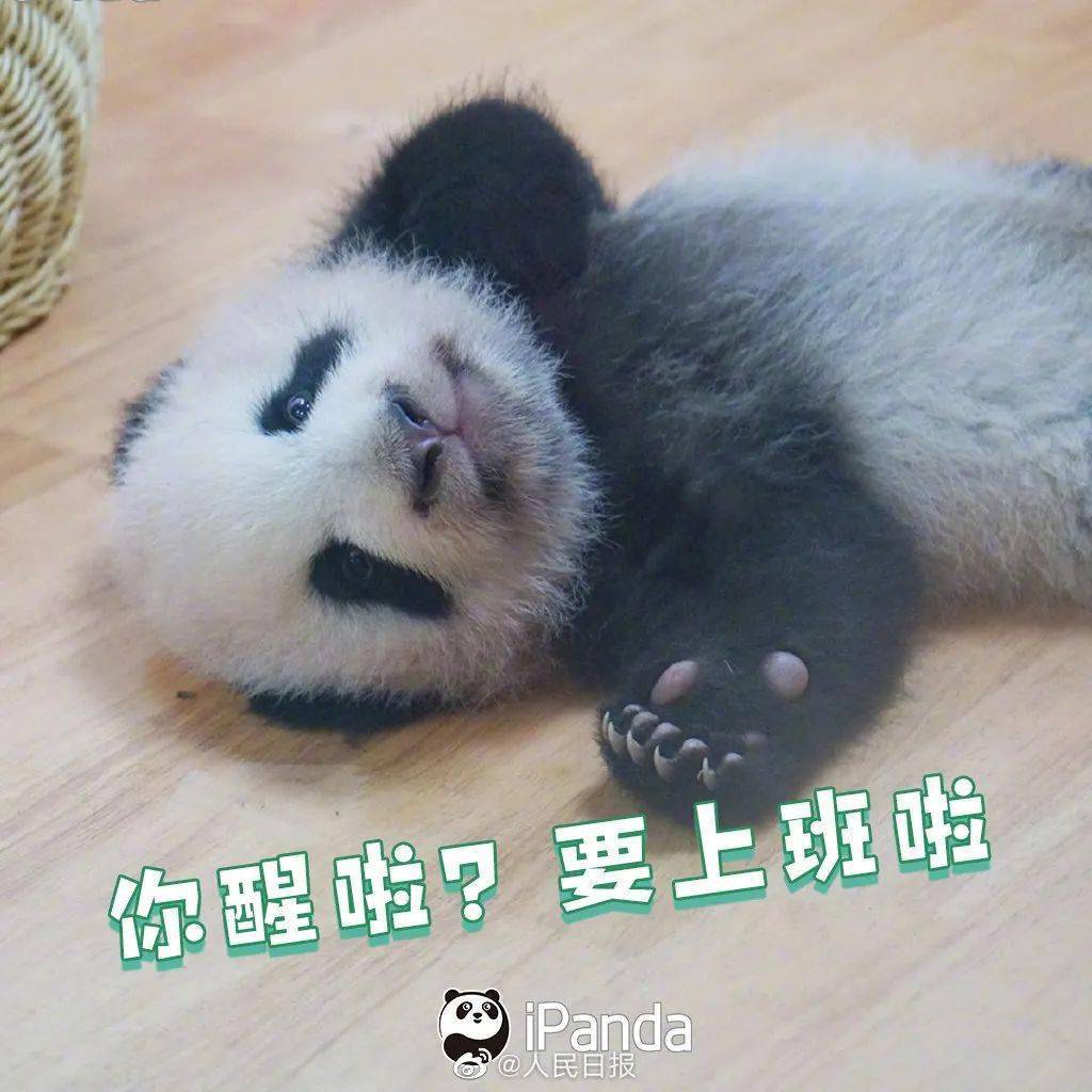 长假归来8招教你满血复活