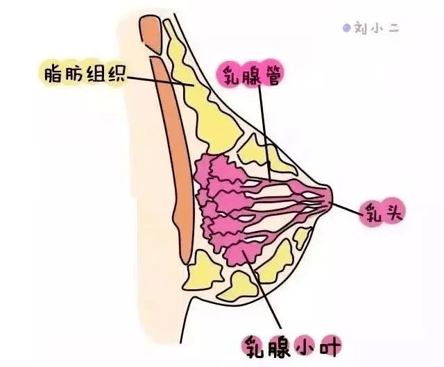 警惕温柔一刀乳腺癌