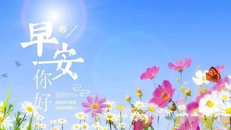 2月19日正月初八清晨祝福大家早安的祝福早上好问候图片