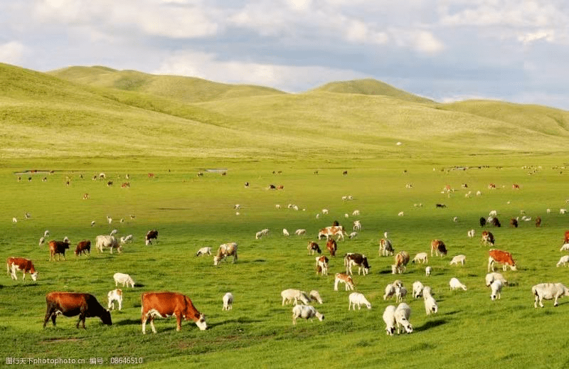 梦里的草原姑娘(外四首) ◇萧川67