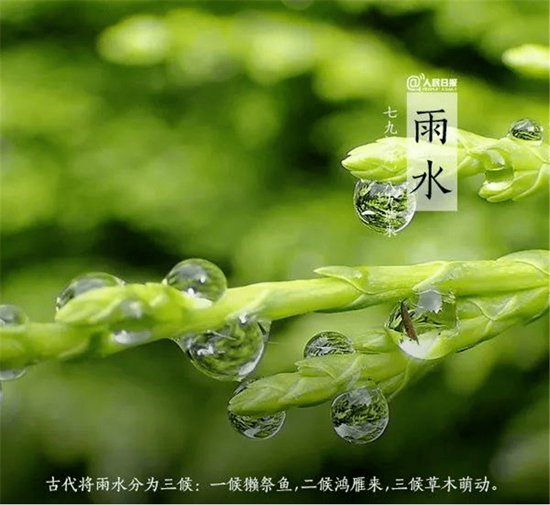 今日雨水!乍暖还寒注意保暖