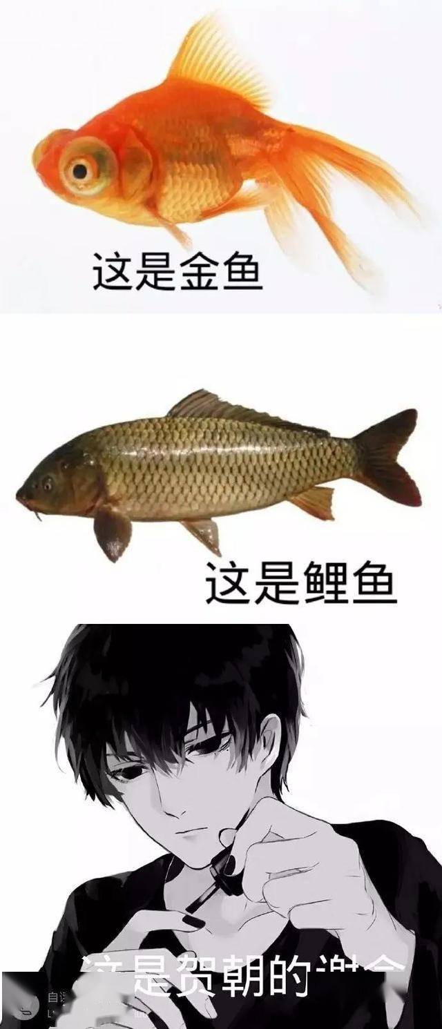 awm《绝地求生》:地狱空荡荡 祁醉在人间_种子