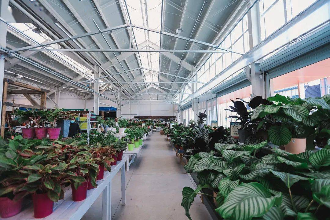 虹越旗舰店内景△第二届世界花园大会首次投入使用的旗舰店创业者