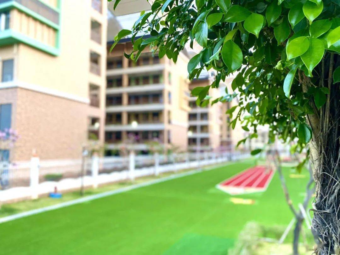 【凤凰花开满园春】黄冈牛剑娃:春天里,深处行;秋天里,高处见