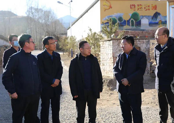 吕梁市规划和自然资源局调研组在岚县调研