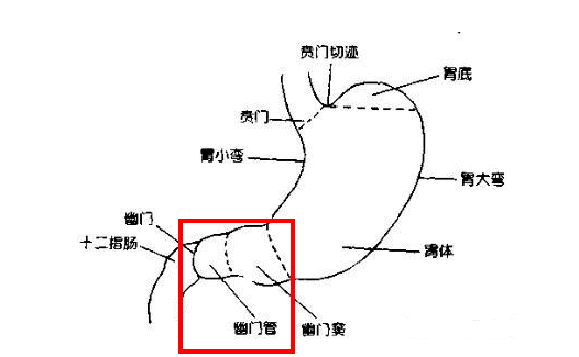 牙齿咽肚子里怎么办